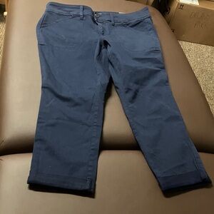 Torrid Women's Dark Navy Chinos